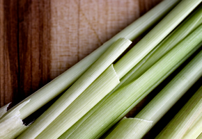 Lemongrass